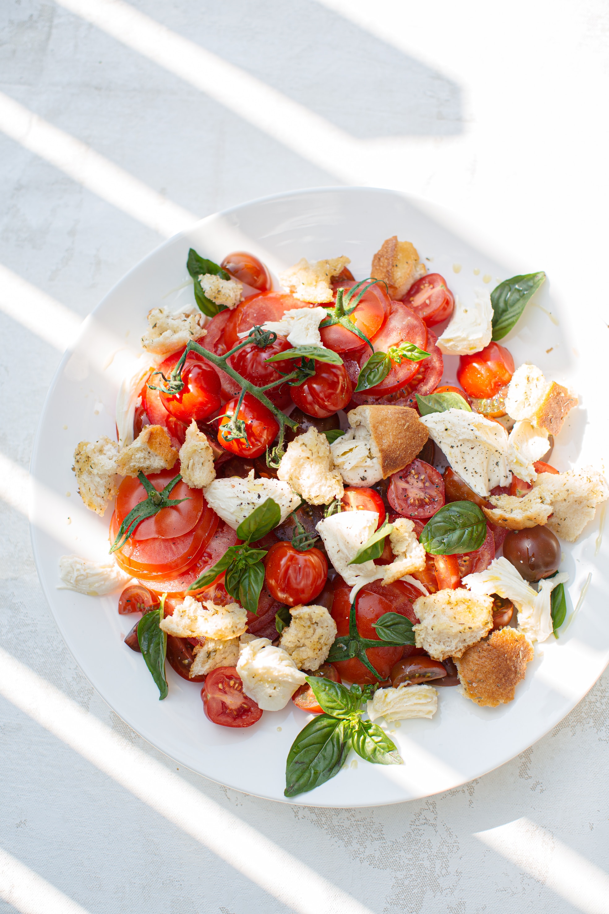 Mozarella Appetizer